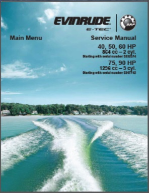 Evinrude 5009005