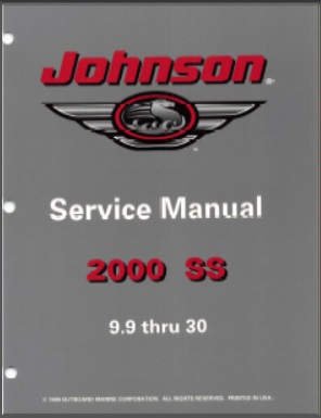 Evinrude 787067